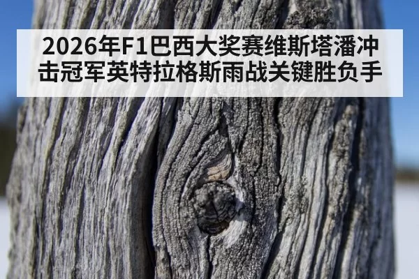 2026年F1巴西大奖赛维斯塔潘冲击冠军英特拉格斯雨战关键胜负手